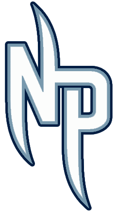 Nashville Predators 2009-2011 Alternate Logo fabric transfer